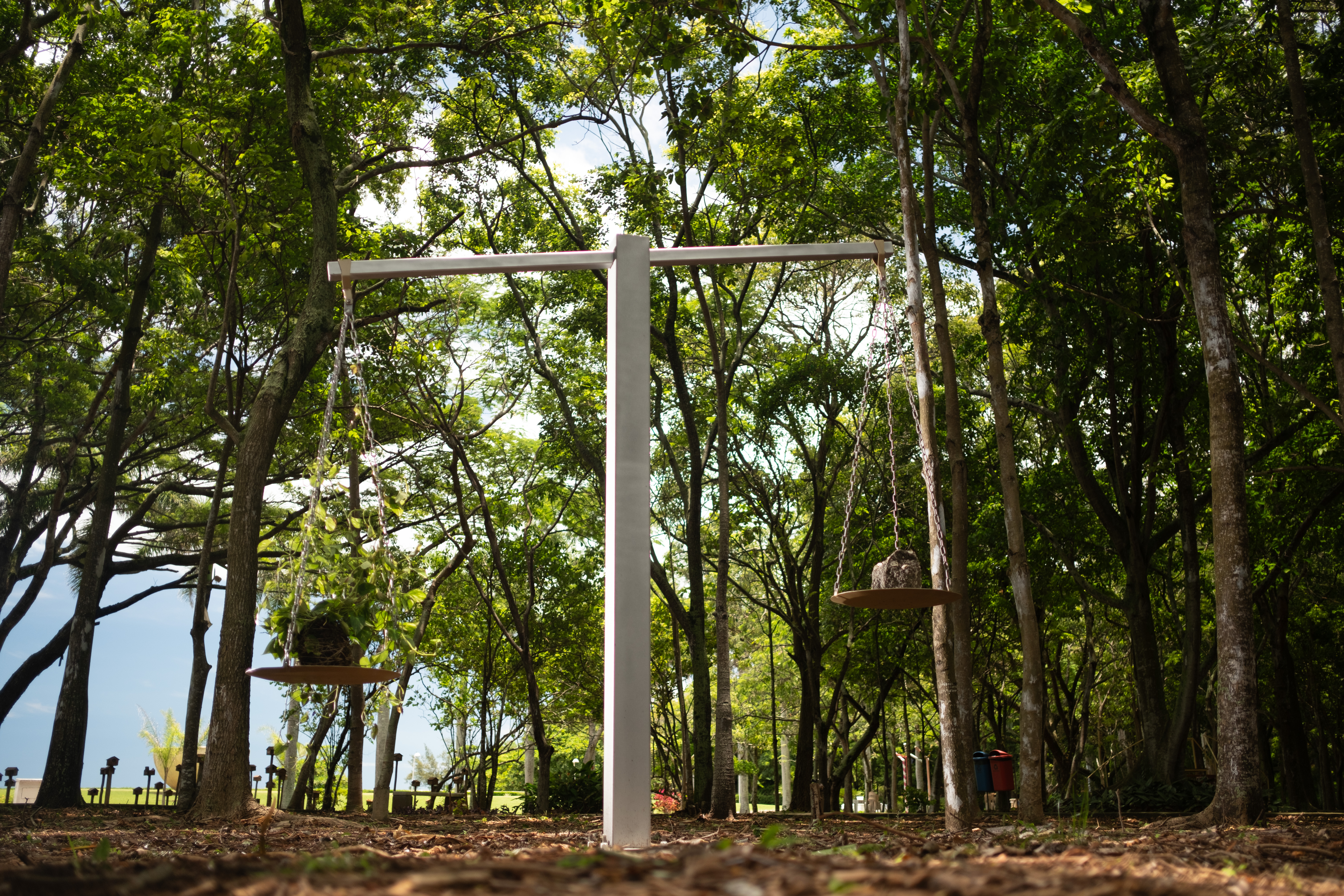 Balança Cotejo: a Intenção de Compreender a Presença