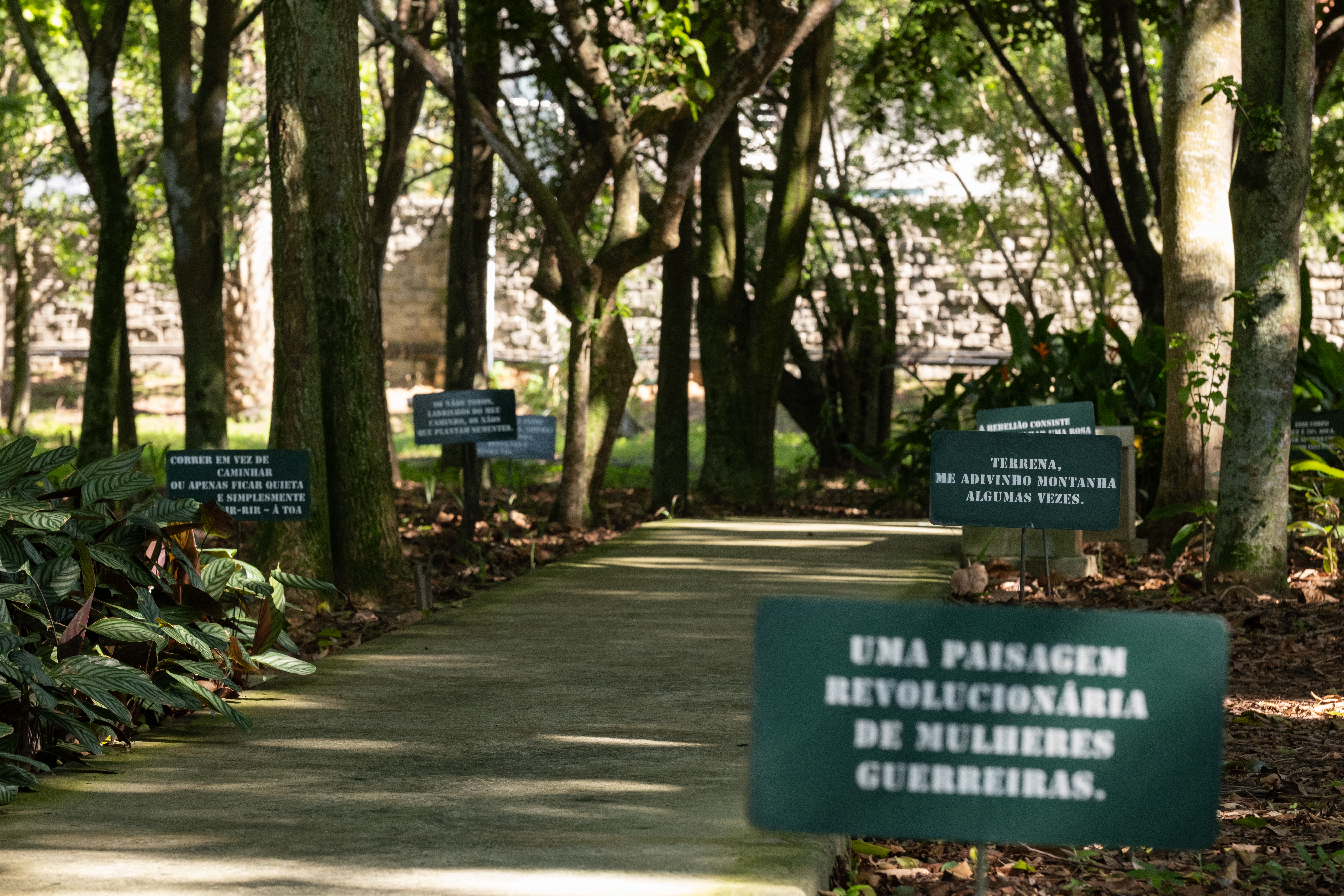 Pensamento de Fora (revisitado)