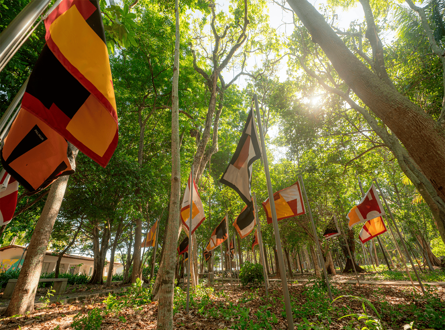 Estados Originários