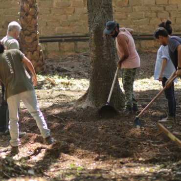 Parque Cultural Casa do Governador realiza mutirão de plantio e colheita na agrofloresta na próxima terça (14)