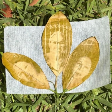 Parque Cultural Casa do Governador promove oficinas gratuitas de fotografia, alquimia de plantas e teatro em janeiro